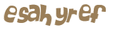 Captcha 챌린지