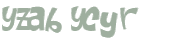 Wyzwanie captcha