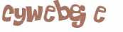 CAPTCHA 挑戰