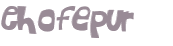 CAPTCHA 挑戰
