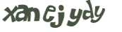 CAPTCHA 挑戰