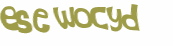 Captcha challenge