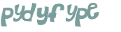 CAPTCHA 挑戰