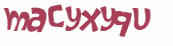 CAPTCHA 挑戰