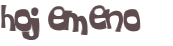 Desafio Captcha