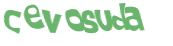 CAPTCHA-haaste