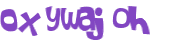 Captcha挑战