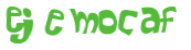 CAPTCHA 挑戰