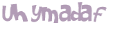 Wyzwanie captcha