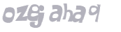 CAPTCHA-haaste