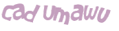 Captcha挑战