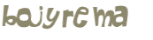 CAPTCHA 挑戰