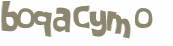 Desafio captcha