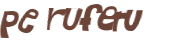 Desafio Captcha