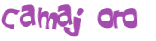 Sfida captcha