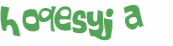 Captcha-test