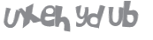 CAPTCHA 挑戰