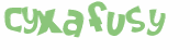 Captcha 챌린지