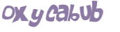CAPTCHA 挑戰