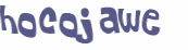 CAPTCHA 挑戰