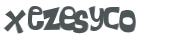 Captcha 챌린지