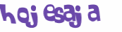 CAPTCHA-haaste