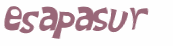Captcha 챌린지