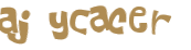 CAPTCHA 挑戰