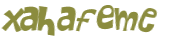 CAPTCHA 挑戰