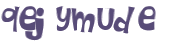 CAPTCHA 挑戰