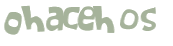 CAPTCHA 挑戰