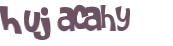 CAPTCHA 挑戰