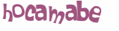 CAPTCHA 挑戰