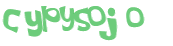 Desafio Captcha