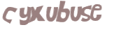 Captcha 챌린지