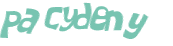 CAPTCHA 挑戰