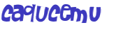Captcha 챌린지