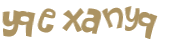 CAPTCHA 挑戰