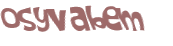 Captcha 챌린지