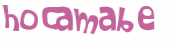 Desafio captcha