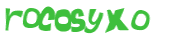CAPTCHA 挑戰