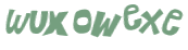 Wyzwanie captcha
