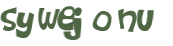 Wyzwanie captcha