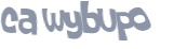 Captcha-Test