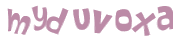 Captcha 챌린지