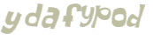 CAPTCHA 挑戰