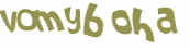 CAPTCHA 挑戰