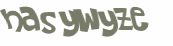 CAPTCHA 挑戰