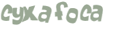 Prueba Captcha