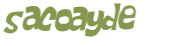Desafio captcha